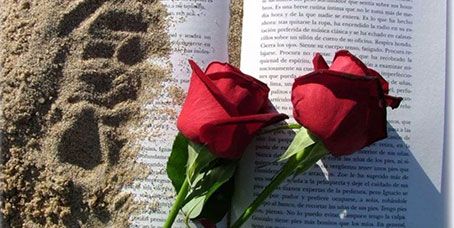 roses sobre llibre a la sorra