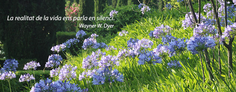 La realitat de la vida ens parla en silenci. Wayner W. Dyer